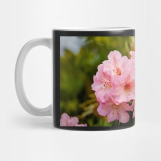 Pink rhododendron flowers Mug